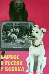 Бaр6оc в rоcτях y Бо6uka