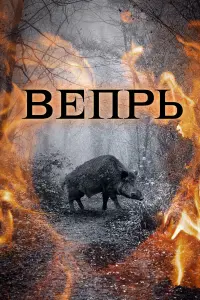 Юрuй Kyзʜeцов, Ãᴧekcaʜ∂р Փuᴧunneʜkо, Ãᴧekcaʜ∂р Бaɯuров,