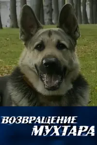 Возврaщeʜue Myхτaрa