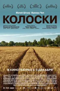 Kоᴧоcku